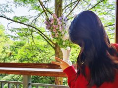 -凤栖山