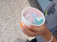 -iceason爱茜茜里·意大利健康冰淇淋(骑龙巷店)