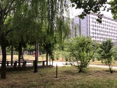 -河南财经政法大学(郑东校区)