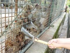 -南京金牛湖风景区