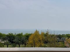 -海豚湾·大堂吧(厦门佰翔波特曼七星湾酒店)