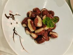 -圆苑(金茂店)