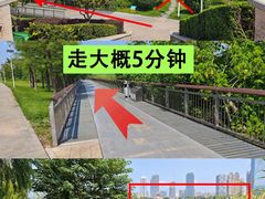 -橘子洲景区