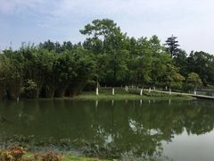 -白塘生态植物园