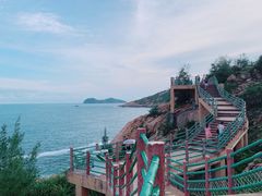 -广东惠东海龟国家级自然保护区