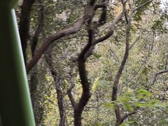 -敬亭山风景名胜区