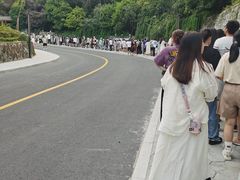 -千岛湖天屿景区