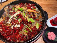 -老板恋上鱼(恒隆广场店)