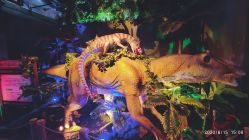 -恐龙探索乐园(磁器口店)