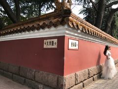 -大学路8号炸串(大学路十四号院店)