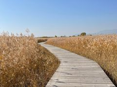 -野鸭湖国家湿地公园