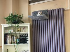 -青春加萌照相馆