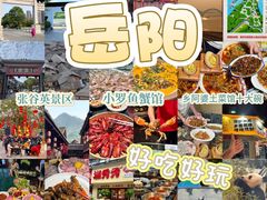-岳阳站