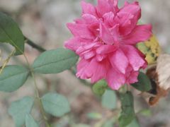 -幽篁里古琴制作中心