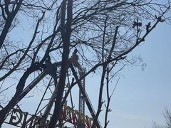 -天津方特欢乐世界