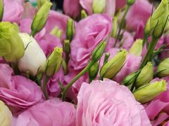 -怡花宜木鲜花店(朝阳路店)