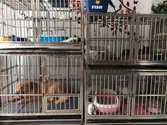 -美美酱宠物(外运路小区店)