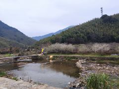 -广州市流溪河国家森林公园