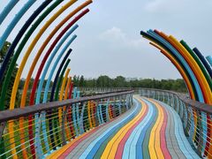 -西山漾湿地公园