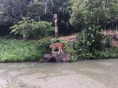-宁波野生动物园