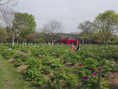 -合肥三国新城遗址公园