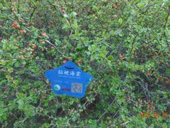 -元大都城垣遗址公园