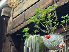 -龙姐私房菜(和顺古镇店)