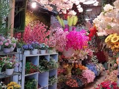 -双季花艺园艺市场(浦东店)
