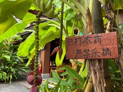 -西双版纳洲际度假酒店-曼霖轩中餐厅
