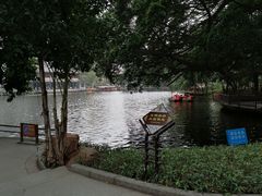 -荔湾湖公园