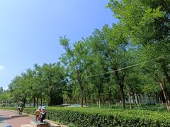 -国家动漫园