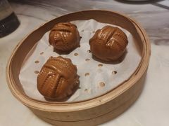 -唐猫庭院·千年陕菜(大唐不夜城店)