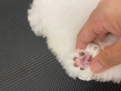 -comecome来吧宠物(奥克斯中心店)