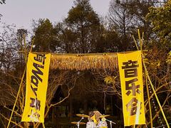 -南宁良凤江国家森林公园