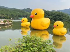 -森波拉奇妙世界