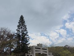 -宋井风景区