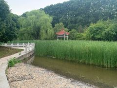 -河南省黄河迎宾馆