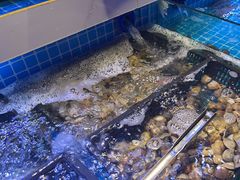-花西亭·海鲜自助餐厅(瑞城名人酒店)