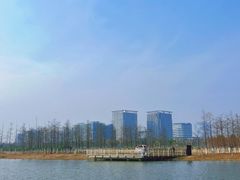 -春花秋色城市公园