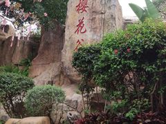 -狐尾山公园