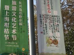 -上海长兴岛郊野公园