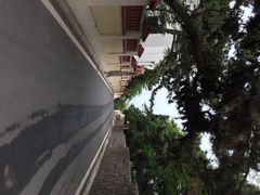 八大关景区-八大关景区