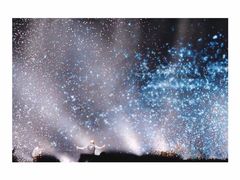 -南京奥林匹克体育中心-体育馆