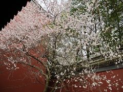 -钱王祠