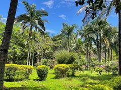 -西双版纳傣族园