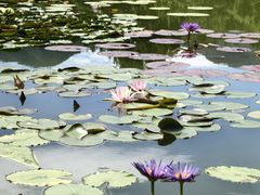 -国家植物园南园