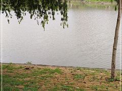 -怡海公园(桂城街道)