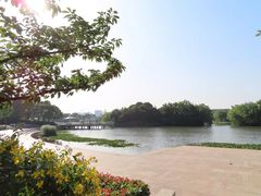 -新江湾城公园