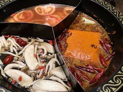 -苏州金科大酒店
