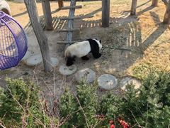 -西霞口神雕山野生动物世界